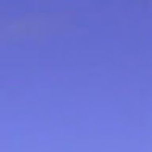 Meet your Posher, Raegan